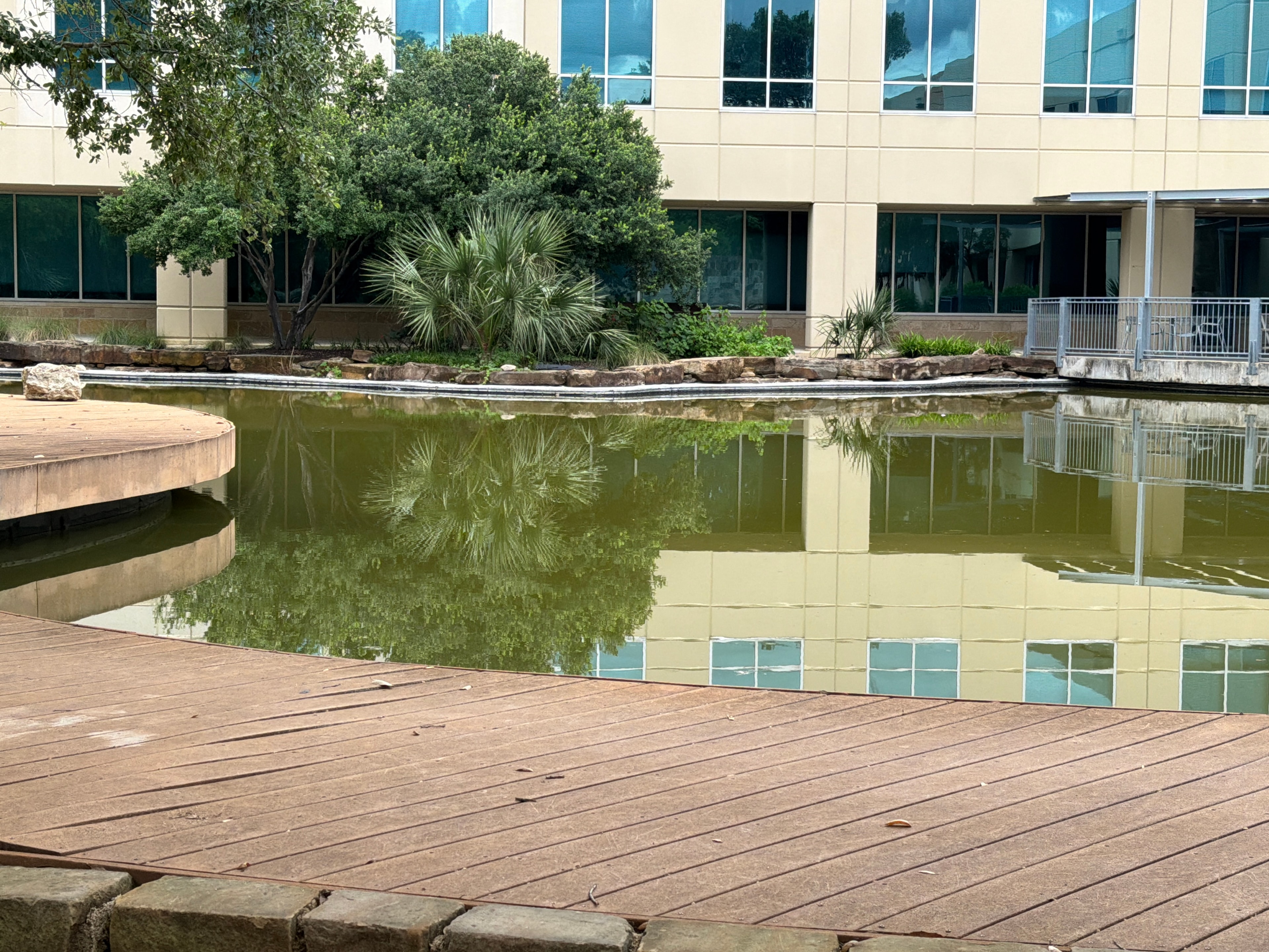 Commercial stormwater pond at office complex