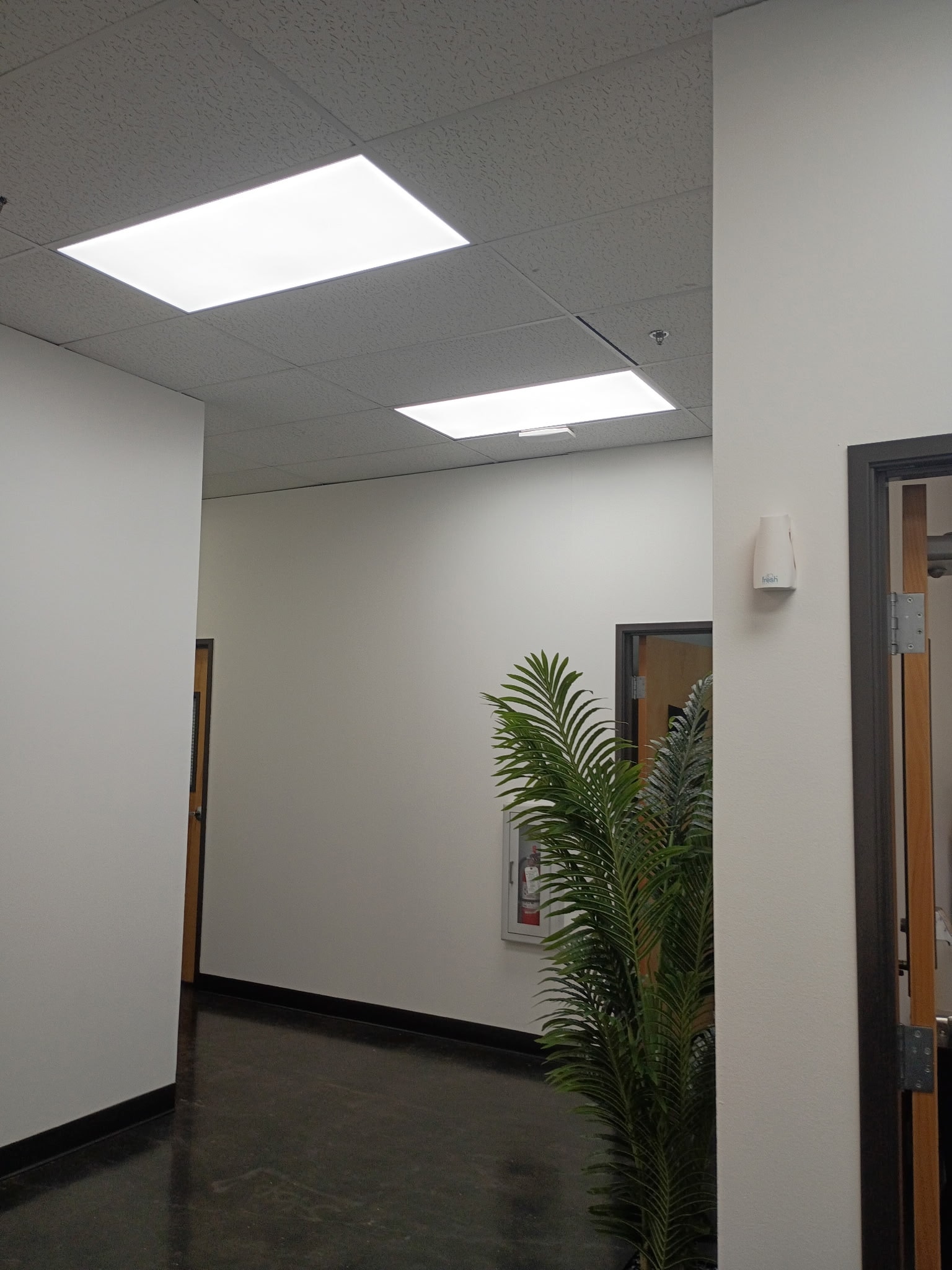 Commercial office LED panel lighting installation