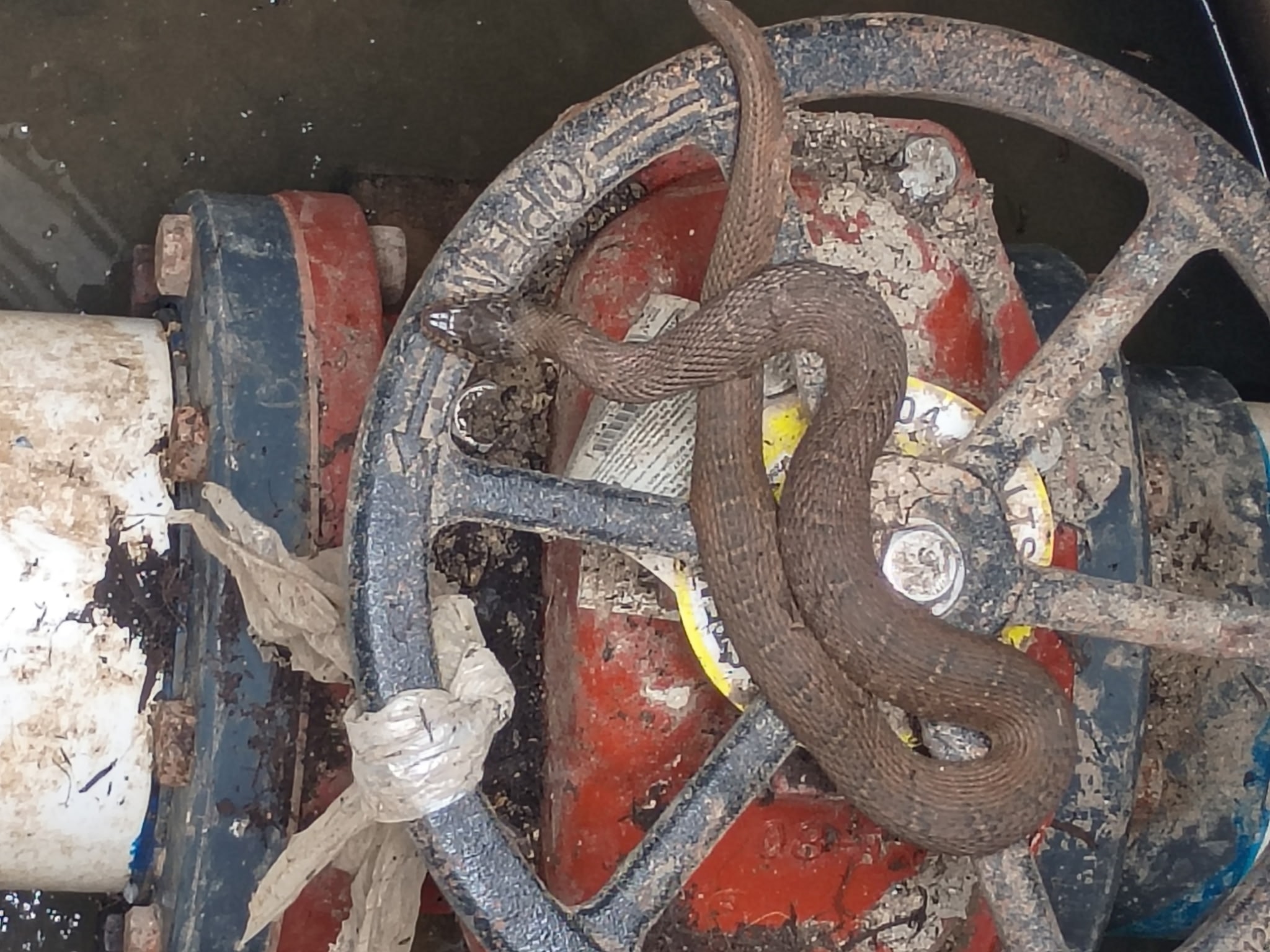 Industrial pump equipment inspection